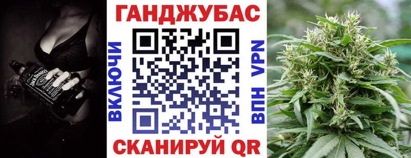 дарнет шоп  Чкаловск  Бошки марихуана семена 